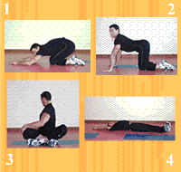 Gráfico de ejercicio Estiramiento (espalda, lumbar, dorsal, oblicuo...)
